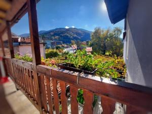 balkon z dwoma doniczkami roślin w obiekcie Стаи за гости Върбите w mieście Saparewa Banja