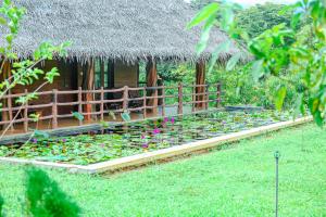 Zahrada ubytování Sigiriya Water Cottage