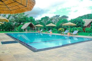 a swimming pool with chairs and umbrellas at Sigiriya Water Cottage in Sigiriya