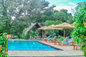 Bazén v ubytování Sigiriya Water Cottage nebo v jeho okolí