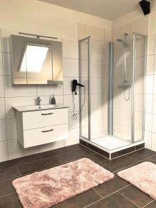 ein Bad mit einer Dusche, einem Waschbecken und einem Spiegel in der Unterkunft Kastanienhof in Südbrookmerland