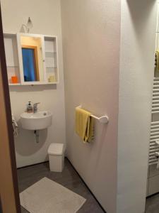 a bathroom with a sink and a toilet at Petryhof in Mörsdorf