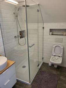 A bathroom at Apartmán Pekná Vyhliadka - Vila Vlasta