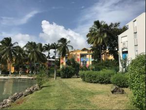 un bâtiment avec des palmiers à côté d'une étendue d'eau dans l'établissement Grand bleu-Superbe T2 vue mer & accès plage, au Gosier