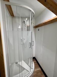 a glass shower in a bathroom with a toilet at Le Studio des Gîtes Aérostier in La Roque-Gageac