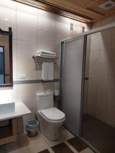 La salle de bains est pourvue de toilettes et d'une cabine de douche. dans l'établissement 天不老民宿, à An-ting