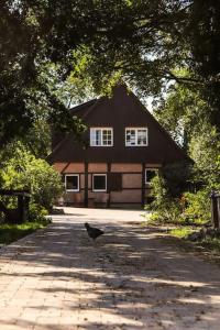 a bird walking down a road in front of a house at Tiny House Kotten Kunterbunt in Nottuln