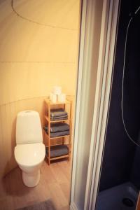 a bathroom with a toilet and a shelf with towels at Tiny House Kotten Kunterbunt in Nottuln