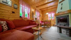 a living room with a couch and a fireplace at Chalet House Olga in Crni Lug
