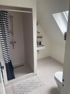 a bathroom with a shower and a toilet at Hjortholms Bistro nr 1 in Vallebo +13 photos