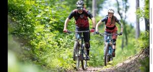 dos personas montando bicicletas por un camino de tierra en Luxury Apartments in Balatonalmádi, Almádi Lux Apartman I - Ocean Blue, en Balatonalmádi