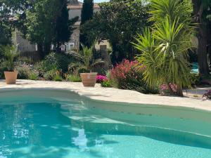 - une piscine dans une cour ornée d'arbres et de plantes dans l'établissement Maison du Midi, 2 Gîtes de charme, à Ginestas