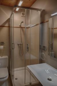 a bathroom with a shower and a toilet and a sink at Saplan Real Estate PORTET in Les
