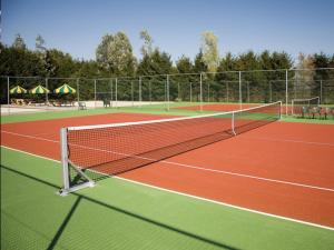 Vakantiepark Slagharen 부지 내 또는 인근에 있는 테니스 혹은 스쿼시 시설