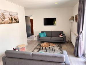 TV a/nebo společenská místnost v ubytování Haus Tilia Karinthië Appartementen