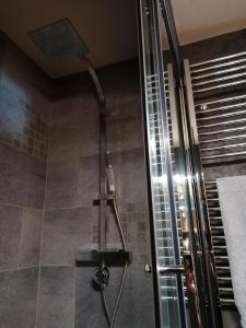a shower with a glass door in a bathroom at Au clair de lune in Chavelot