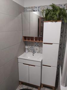 Kuchyňa alebo kuchynka v ubytovaní Fodan Apartman + 10 fotografií