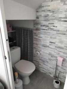 baño con aseo blanco y pared de azulejos en Studio entre Clohars Carnoet et Doelan en Clohars-Carnoët