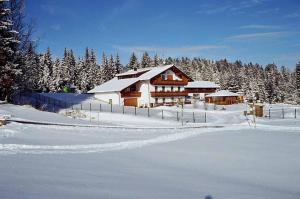 una cabaña de madera en la nieve con árboles nevados en Haus Spannbauer, en Neureichenau