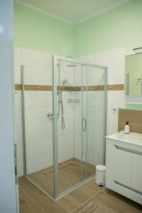 uma cabina de duche em vidro na casa de banho com um lavatório em Apartmani 64 em Sombor