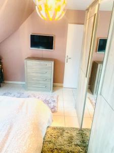 ein Schlafzimmer mit einem Bett und einem TV an der Wand in der Unterkunft Charmant appartement 2 pièces Mundolsheim in Mundolsheim