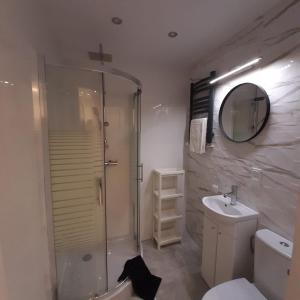 uma casa de banho com um chuveiro, um WC e um lavatório. em Apartament Sosnowiec - Kazimierz Górniczy em Sosnowiec