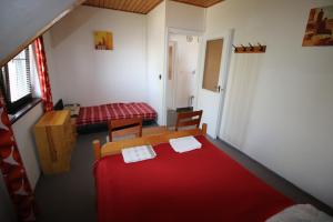 ザマールディにあるNefelejcsのベッド1台と赤い毛布が備わる小さなお部屋です。