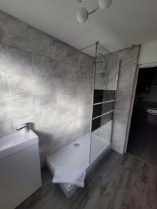 uma casa de banho com um chuveiro, um WC e um lavatório. em Handpost Retreat em Newport