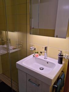 La salle de bains est pourvue d'un lavabo blanc et d'une douche. dans l'établissement Gemütliche Ferienwohnung zwischen See und Bergen, à Brienz