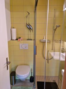 La salle de bains est pourvue d'une douche et de toilettes. dans l'établissement Gemütliche Ferienwohnung zwischen See und Bergen, à Brienz