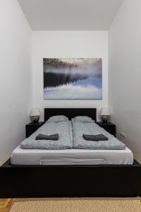 Postel nebo postele na pokoji v ubytování Cosy 1 Bedroom Apartment in Gozsdu Court