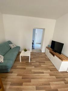 Apartman Ancoris في نوفي فينودولسكي: غرفة معيشة مع أريكة خضراء وتلفزيون بشاشة مسطحة