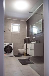 ein Badezimmer mit einem WC, einem Waschbecken und einer Waschmaschine in der Unterkunft 4 Dream Apartmanet 4+parcare gratuita in Oradea