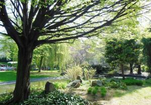 a park with a tree and rocks and a pond at Nice Apartment ideal to visit Paris in Clichy