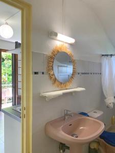 a bathroom with a sink and a mirror at Top Hill appartements et dortoir - Martinique in La Trinité
