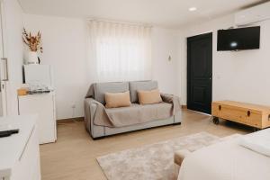 a living room with a couch and a tv at Quinta Monteiro de Matos - Enoturismo in Santarém