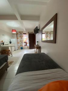1 dormitorio con cama y espejo en la pared en Hotel Fênix, en Florianópolis