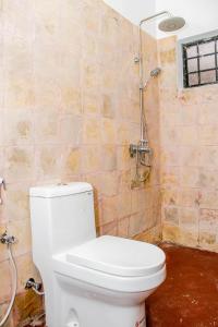 a bathroom with a toilet and a shower at Blue elephant villas in Arusha