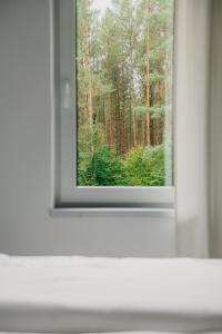Fotografie z fotogalerie ubytování Przystań 46 v destinaci Kopalino