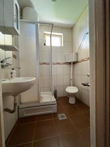 a bathroom with a shower and a sink and a toilet at Kuća Janjic Jahorina in Jahorina