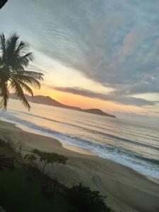 una playa con una palmera y el océano en Canto do Forte da Ivone, en Praia Grande