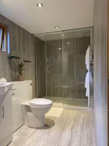 ein Bad mit einem WC und einer Glasdusche in der Unterkunft Cosy 1 bedroom country lodge with free parking in Watlington