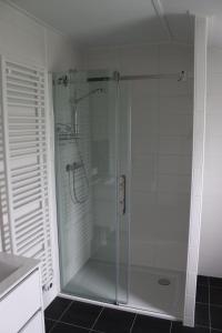 a shower with a glass door in a bathroom at Mein-Mosel-Chalet-Haus-Birke in Koblenz