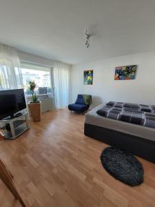 Posezení v ubytování Business Apartment in Rheinfelden(Baden)