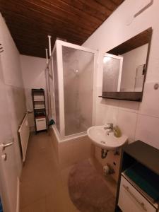 uma casa de banho com um lavatório, um chuveiro e um espelho. em Business Apartment in Rheinfelden(Baden) em Rheinfelden