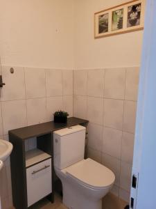 a bathroom with a white toilet and a sink at Business Apartment in Rheinfelden(Baden) in Rheinfelden