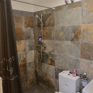 a bathroom with a shower and a toilet at Apartamento Ines, Dehesa de Campoamor,900m from the sea , swimming pool & tennis court in Campoamor