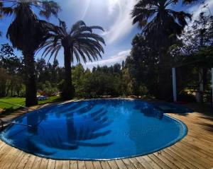 ein blauer Pool mit Palmen im Hintergrund in der Unterkunft Quinta do Paraiso in São Teotónio