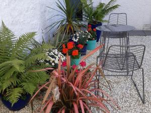 Seaclusion في Saint Monance: حديقة فيها طاولة وكراسي ونباتات