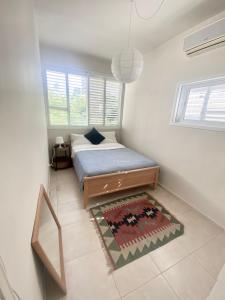 ein kleines Schlafzimmer mit einem Bett und einem Teppich in der Unterkunft charming tlv two bedroom in Tel Aviv